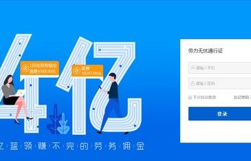 30余家专业化电子商务