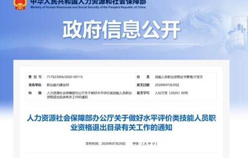 专业技能证书电子商务师
