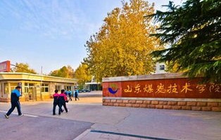 山东电子商务专业大学有哪些