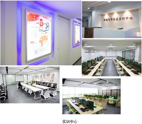 跨境电子商务专业公务员