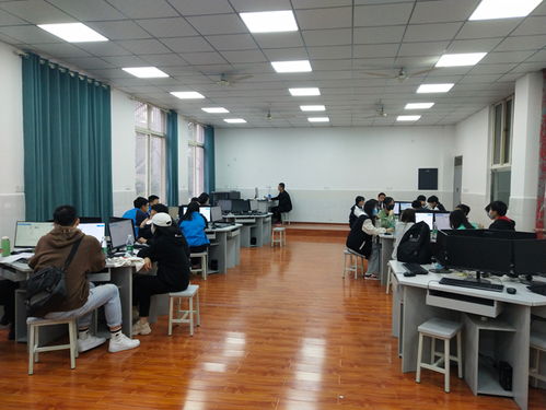 阜阳电子商务专业升本