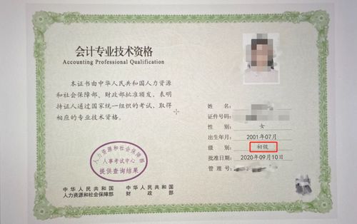 昌吉学院电子商务专业考哪些证